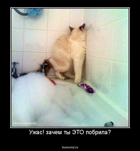 Ужас! зачем ты ЭТО побрила?