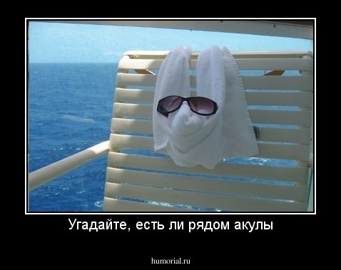 Угадайте, есть ли рядом акулы