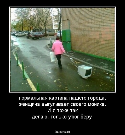 нормальная картина нашего города: женщина выгуливает своего моника. И я тоже так делаю, только утюг беру