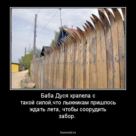 Баба Дуся храпела с такой силой,что лыжникам пришлось ждать лета, чтобы соорудить забор.