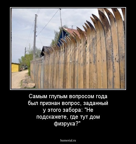 Самым глупым вопросом года был признан вопрос, заданный у этого забора: "Не подскажете, где тут дом физрука?"