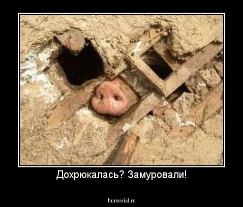 Дохрюкалась? Замуровали!