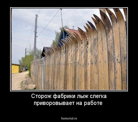 Сторож фабрики лыж слегка приворовывает на работе