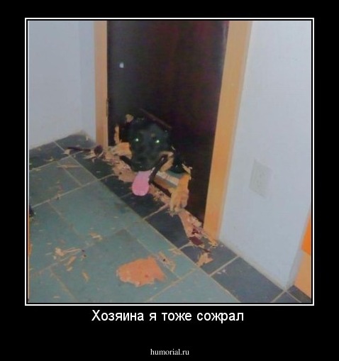 Хозяина я тоже сожрал 