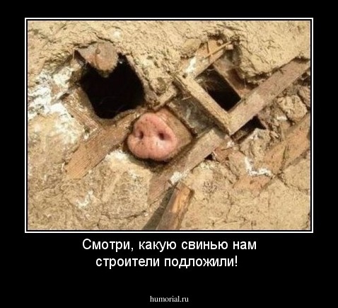 Смотри, какую свинью нам строители подложили!