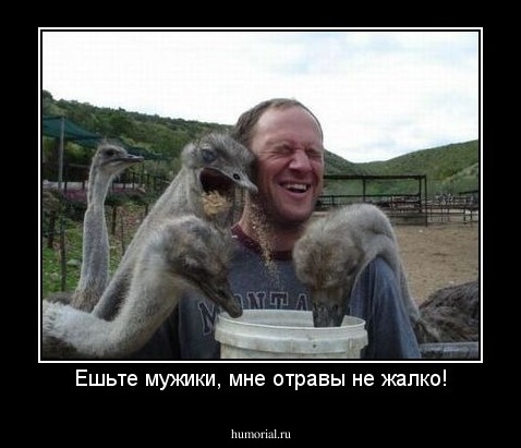 Ешьте мужики, мне отравы не жалко!