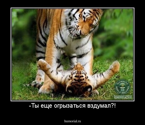 -Ты еще огрызаться вздумал?!
