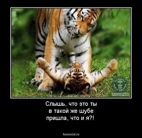 Слышь, что это ты в такой же шубе пришла, что и я?!