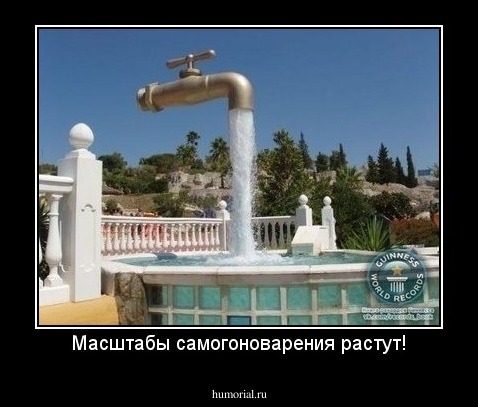 Масштабы самогоноварения растут!