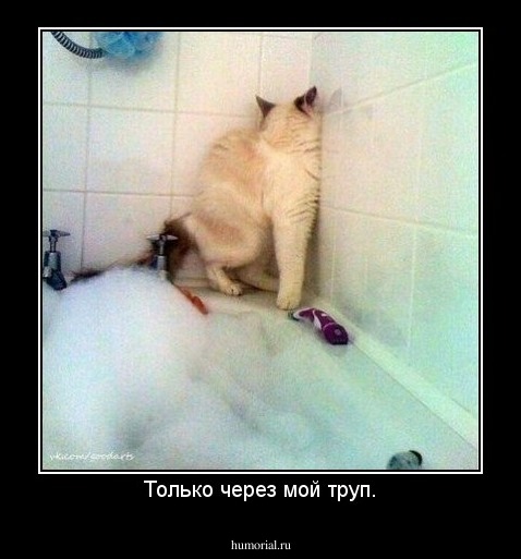Только через мой труп.