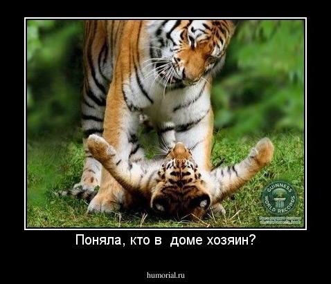 Поняла, кто в  доме хозяин?