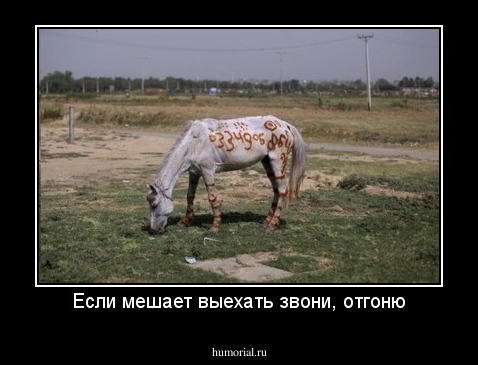 Если мешает выехать звони, отгоню