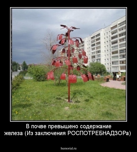 В почве превышено содержание железа (Из заключения РОСПОТРЕБНАДЗОРа)