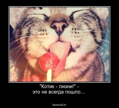 "Котик - лизни!" - это не всегда пошло...