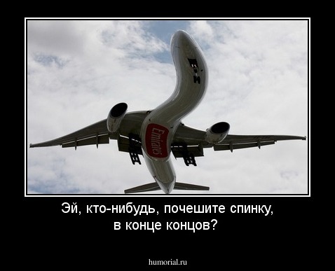 Эй, кто-нибудь, почешите спинку, в конце концов?