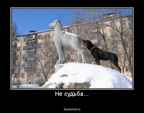 Не судьба...