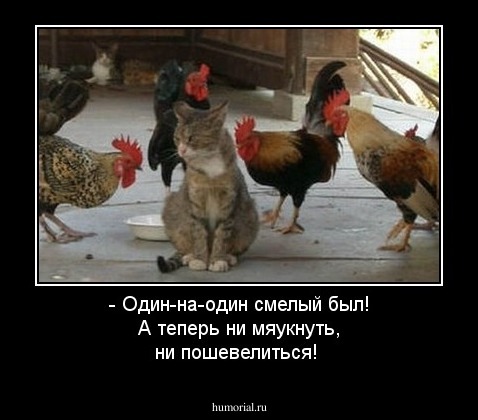 - Один-на-один смелый был! А теперь ни мяукнуть, ни пошевелиться!