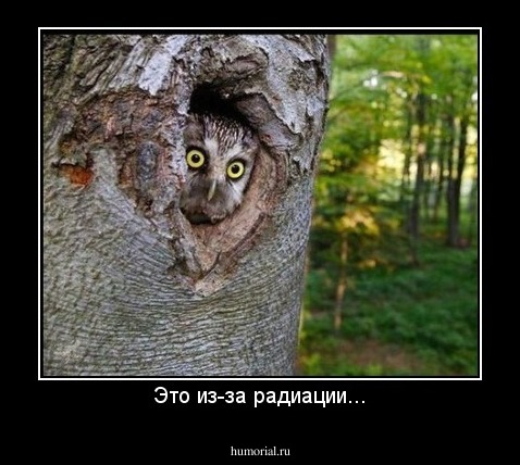 Это из-за радиации...