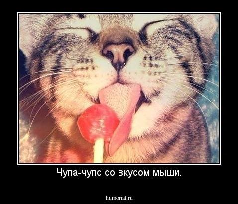 Чупа-чупс со вкусом мыши.