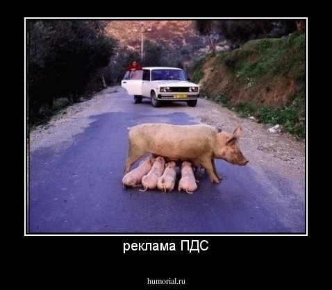 реклама ПДС
