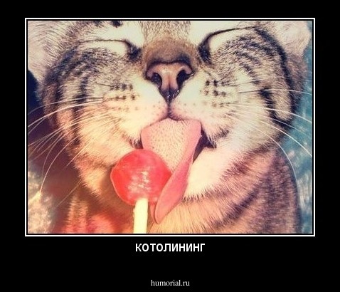 котолининг