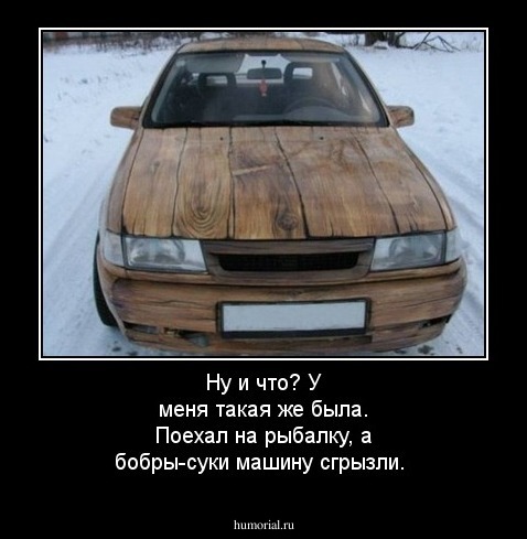 Ну и что? У меня такая же была. Поехал на рыбалку, а бобры-суки машину сгрызли.