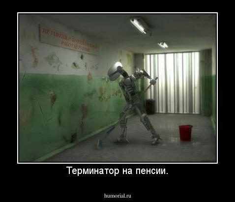 Терминатор на пенсии.