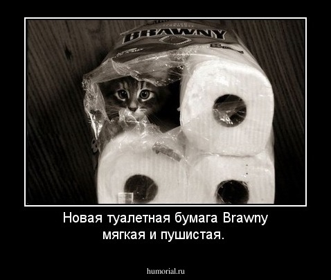 Новая туалетная бумага Brawny мягкая и пушистая.