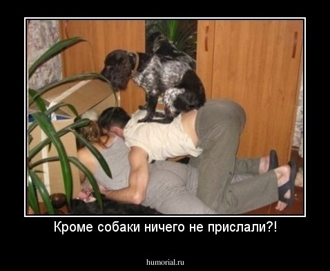 Кроме собаки ничего не прислали?!
