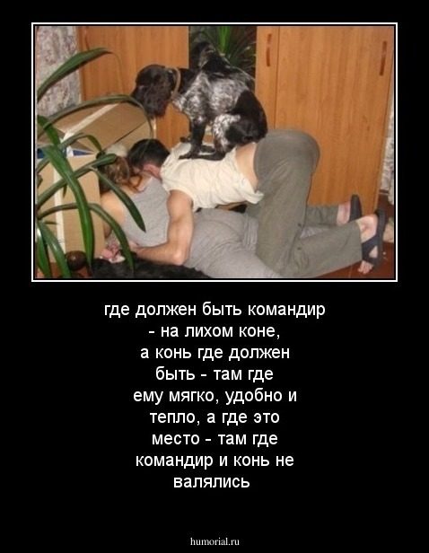 где должен быть командир - на лихом коне, а  конь где должен быть - там где ему мягко, удобно и тепло, а где это место - там где командир и конь не валялись