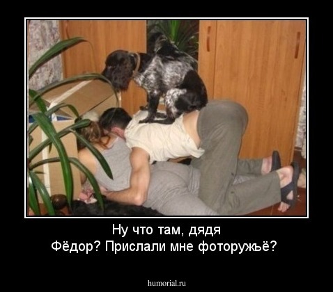 Ну что там, дядя Фёдор? Прислали мне фоторужьё?