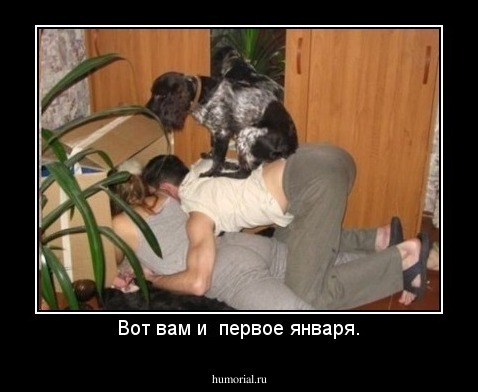 Вот вам и  первое января.