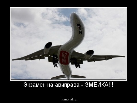 Экзамен на авиправа - ЗМЕЙКА!!!