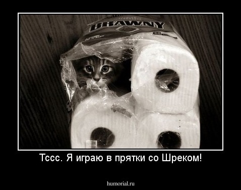 Тссс. Я играю в прятки со Шреком!