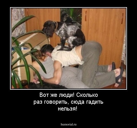 Вот же люди! Сколько раз говорить, сюда гадить нельзя!