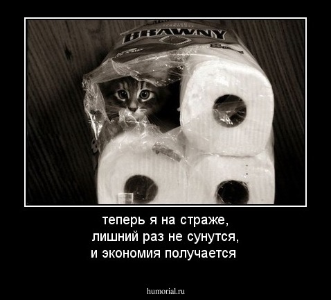 теперь я на страже, лишний раз не сунутся, и экономия получается