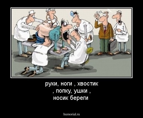 руки, ноги , хвостик , попку, ушки , носик береги