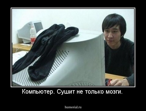 Компьютер. Сушит не только мозги. 