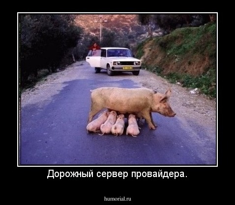 Дорожный сервер провайдера.