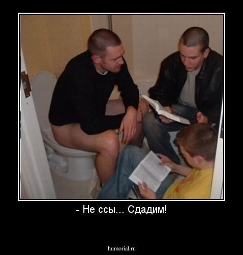- Не ссы... Сдадим!
