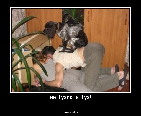 не Тузик, а Туз!