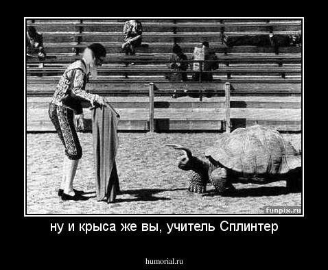 ну и крыса же вы, учитель Сплинтер