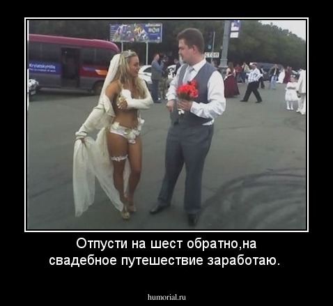 Отпусти  на шест обратно,на свадебное путешествие заработаю.
