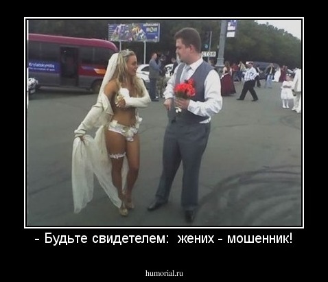 - Будьте свидетелем:  жених - мошенник!