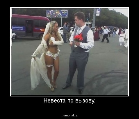 Невеста по вызову.