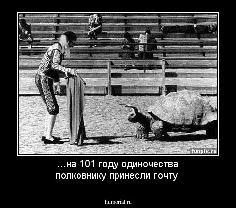 ...на 101 году одиночества полковнику принесли почту