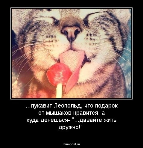 ...лукавит Леопольд, что подарок от мышаков нравится, а куда денешься- "...давайте жить дружно!"