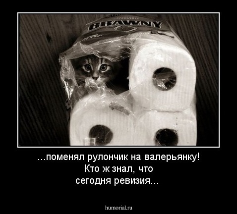...поменял рулончик на валерьянку! Кто ж знал, что сегодня ревизия...