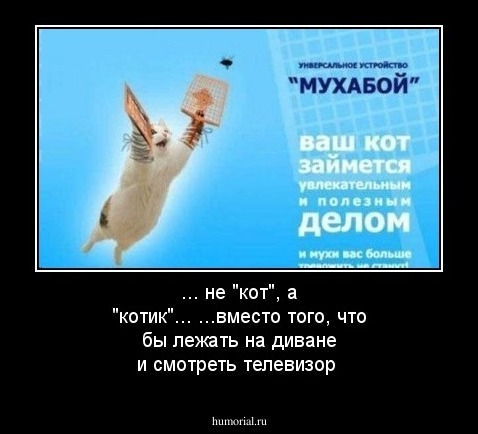 ... не "кот", а "котик"...   ...вместо того, что бы лежать на диване и смотреть телевизор