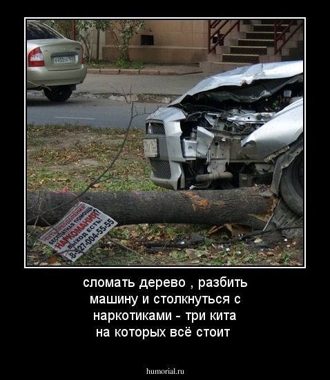 сломать дерево , разбить машину и столкнуться с наркотиками - три кита на которых всё стоит
